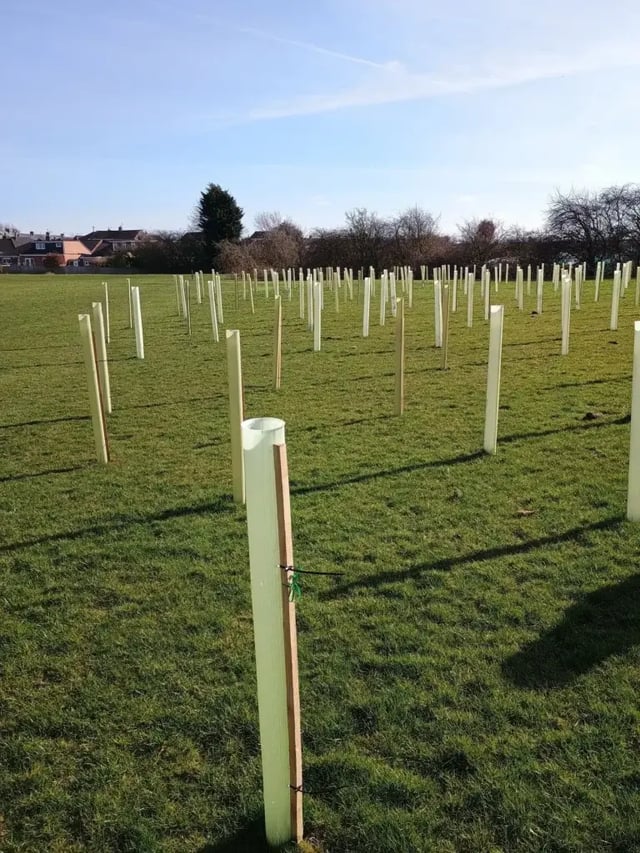 rayleigh drive carma