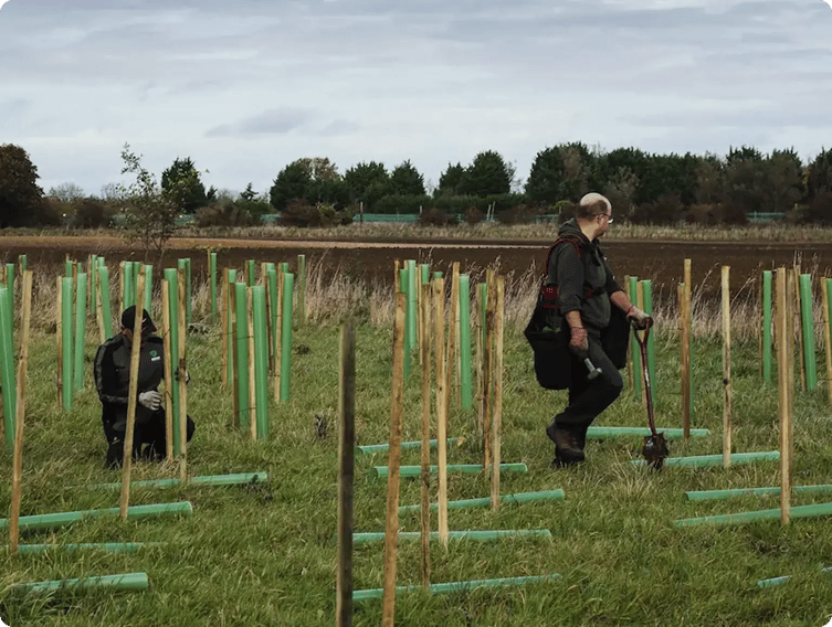 Planting-trees-Carma