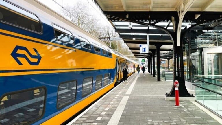 ‘Hiring process up to speed with Nétive VMS Suite’